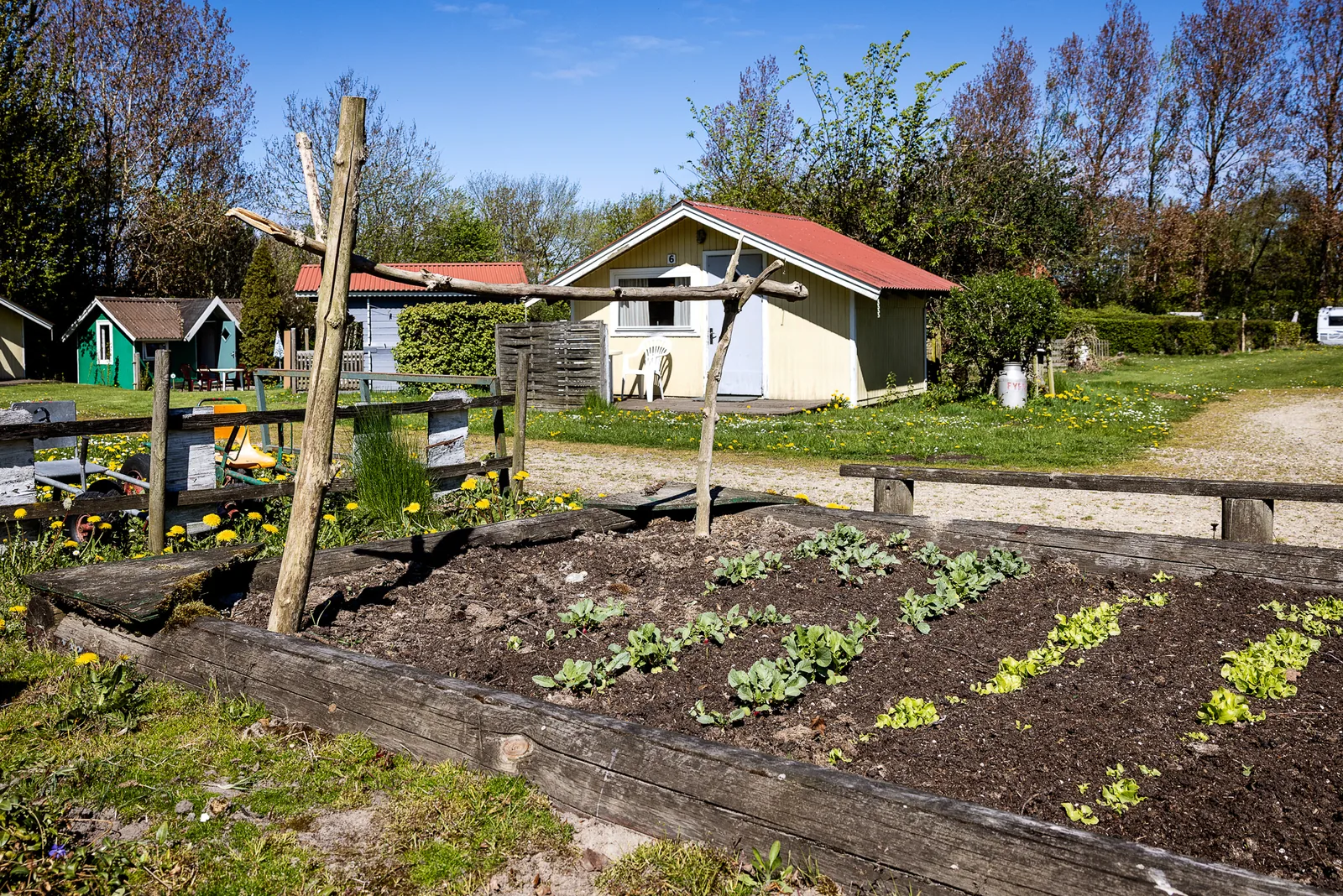 Der Gemüsegarten
